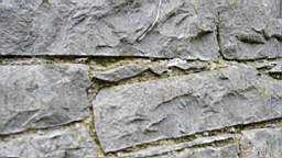 acastle 105630.jpg